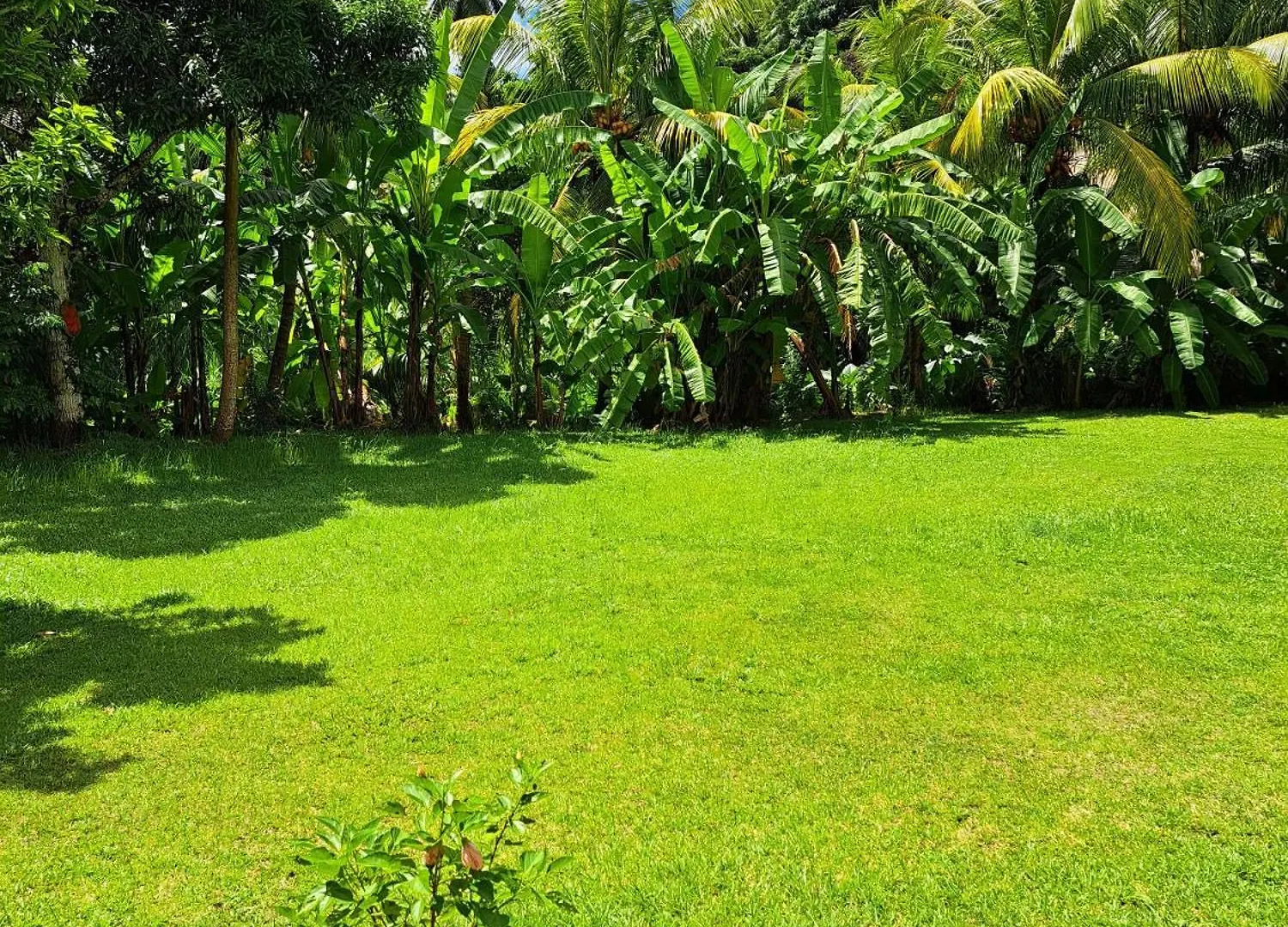 Island Of Love Grand Anse  Villa Grand Anse (Mahe)
