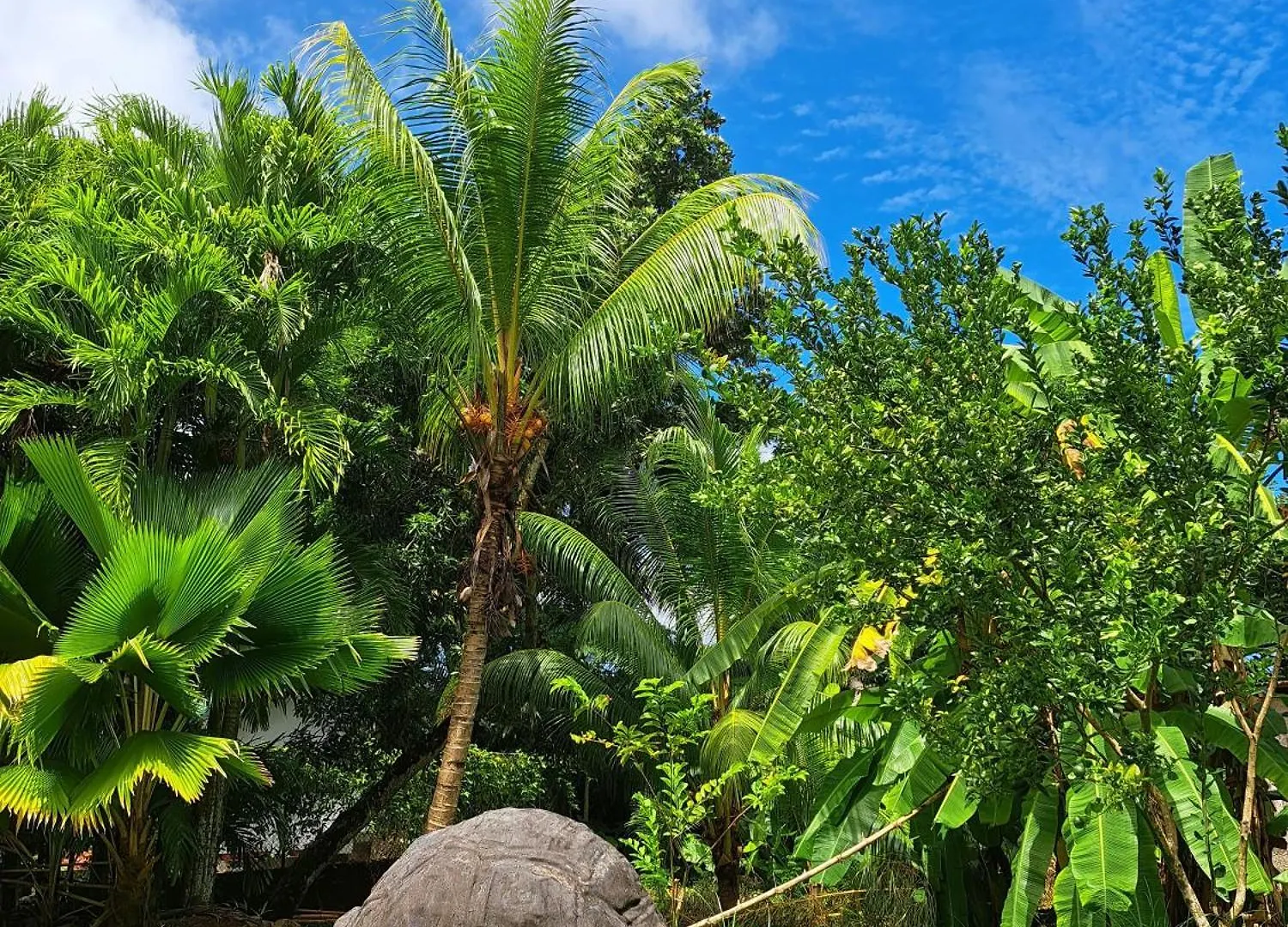 Villa Island Of Love Grand Anse  Seychelles